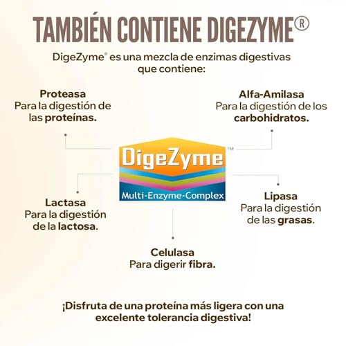 HSN-Aislado-de-Proteina-de-Suero-Evolate-20-Sin-Edulcorantes-Sabor-Natural-Chocolate-2Kg-67-Tomas-por-Envase-Whey-Protein-Isolate-CFM-Enzimas-Digestivas-Vegetariano-Sin-Gluten-ni-Soja