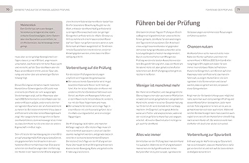 Foto von Der Jagdgebrauchshund-Jährling: Sicher durch die Anlagenprüfungen: Empfohlen vom Jagdgebrauchshundverband (BLV Jagdhunde)