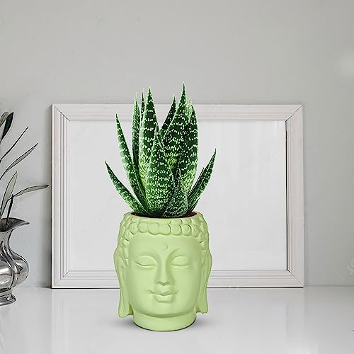 Lasaki Buddha 3.5 inch Mint Ceramic Pots for Indoor Plants, Planters, Flower, Pots, gamla,Outdoor,Balcony,Home,Round,Garden, Office Decor,Succulent(H - 9 X D - 8.5 cm)(Plants not Included)