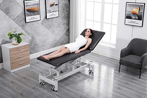 Physical Therapy Table Hi-Lo Adjustable 2 Section PT Treatment Table,Ultra Comfortable Foot Control Facial Salon SPA Bed for Clinic,Massage and Acupuncture (Blue) (Beige)