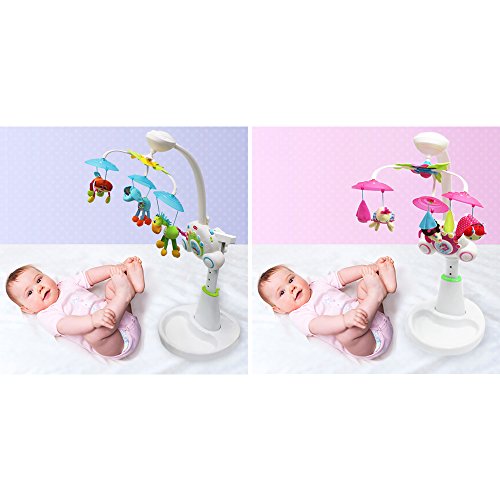 fisher price tiny love