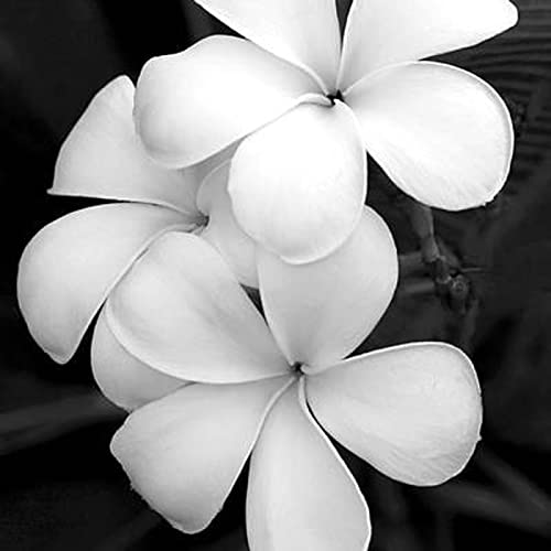 Experience Of A Lonely Child Titelbild