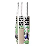 SS Kashmir Willow Leather Ball Cricket Bat, Exclusive Cricket Bat for Adult Full Size with Full Protection Cover (Master 100)