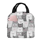 Aiojool Cute Grey Cats Lunch Bag Insulated Lunch Box Reusable Cooler Thermal Meal Tote For Women Men