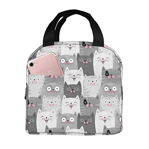 Aiojool Cute Grey Cats Lunch Bag Insulated Lunch Box Reusable Cooler Thermal Meal Tote For Women Men #TOP1