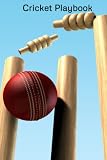 Cricket Playbook: Use This Playbook To Plan Your Game Strategies.
