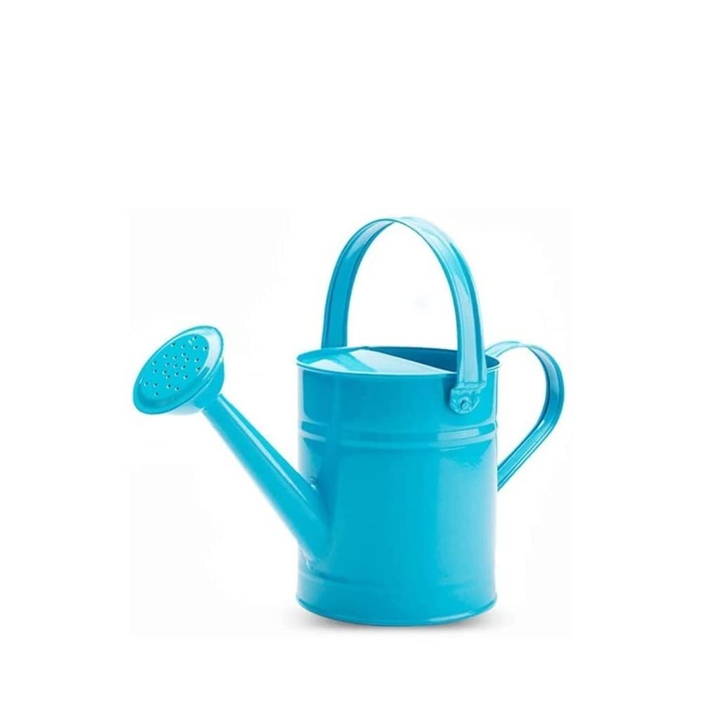 Watering Can Sprinkling Can Watering Planters For Wedding Home Garden Decoration Pot Garden Tool(Blue)
