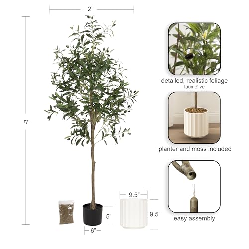 Kate and Laurel Oliveira Faux Olive Tree with Jibbs Scalloped Planter Pot, 5 FT, White, Potted Artificial Olive Plant Tree with Realistic Foliage and Added Moss, Fake Plant for Living Room Decor by Kate and Laurel - Used condition - Image 2
