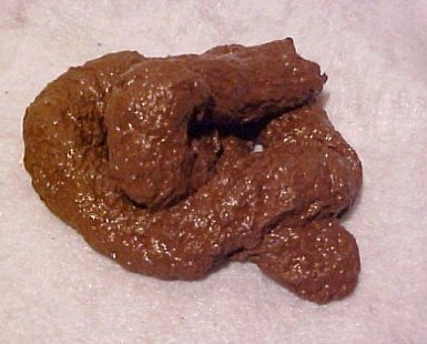 Classic Gag #19: Premium Fake Poop