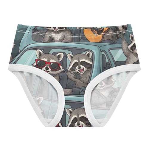 Cotton Toddlers Underwear Floral Playful Cartoon Raccoons Blue Little Girl Panties Fun Print Underpants Briefs 2t