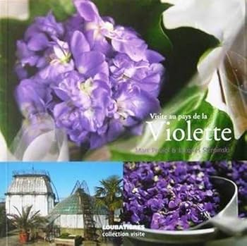 visite au pays de la violette