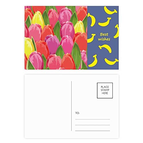 Carte postale fleur tulipe : ne manquez plus jamais de carte de remerciement