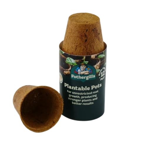 Pots à Planter de 12 cm Mr. Fothergill's évite le pourrissement des racines