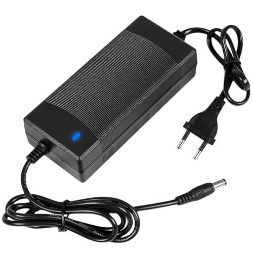 Adattatore di alimentazione 24 V, 10 A, 240 W, convertitore di tensione 100 – 240 V AC a DC 24 Volt con presa di uscita DC da 5,5 mm x 2,5/2,1 mm per strisce LED, telecamere di sorveglianza