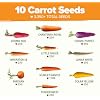 HOME GROWN Rainbow Carrot Seeds 10 Variety Mix 3350+ Heirloom Non-GMO Seeds for Planting, High Germination, Multi-Color Gourmet Root Vegetables, Kids Garden, Crunchy Fresh Eating (Daucus carota)