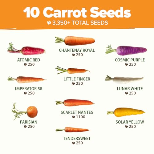 Image of HOME GROWN Rainbow Carrot Seeds 10 Variety Mix 3350+ Heirloom Non-GMO Seeds for Planting, High Germination, Multi-Color Gourmet Root Vegetables, Kids Garden, Crunchy Fresh Eating (Daucus carota)