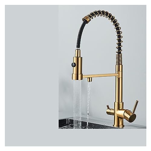 GLJTUO Filtered Kitchen Faucet Spout Water Filter Matte Black Tap for Easy Cleaning High Flow Water Purification System Ideal for Healthy Drinking Water,Brushed Gold-A