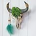 alikiki Bull Skull Head Wall Decor - Succulent Flowers Resin Cow Horn Southwestern Wall Hanging 3D Animal Sculpture Crafts Western Boho Decor for Bedroom Living Room