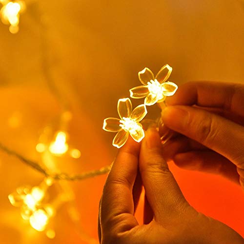 Image of KharidoLive 30 LED Blossom String Lights for Home Decoration (5 Meter Long, Warm White - Steady Lights, 2 Pin Plug)
