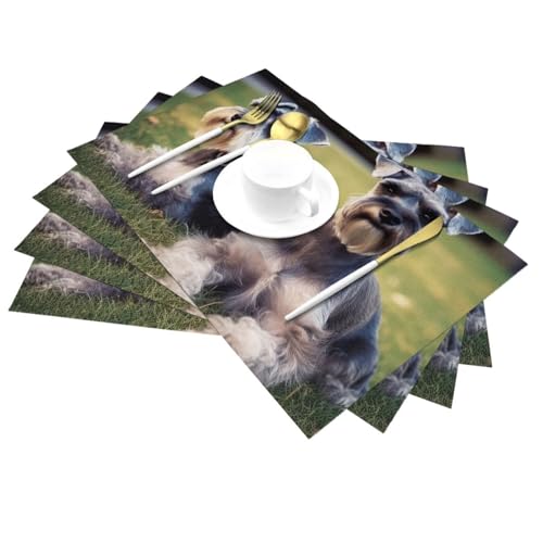 Set de table tissé lavable pour protéger la cuisine des taches