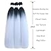 Zifeiya Ombre Gray Braiding Hair Pre Stretched 24inch 3pcs Synthetic Hair Extensions for Braids Black to Gray Ombre Braiding Hair Pre Stretched (1bgray)