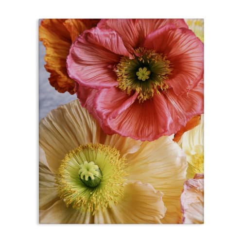 Detailed Poppy Flower Close Up, 24 x 30 Inch Canvas Wall Art