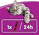 WHISKAS® Sticks Packung Reich an Lachs 14 x 6 x 6g