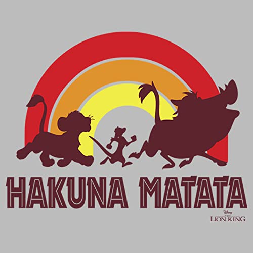 Disney Lion King Hakuna Rainbow Girl's Heather Crew Tee2