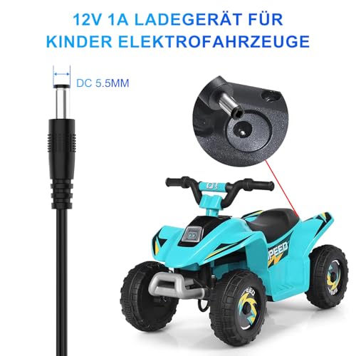 shefor 12V 1A Ladegerät Kompatibel mit Elektroautos für Kinder,12V 1000mA Ladegerät für elektrische Fahrt auf Toys Kinder Quad Elektrisches Traktor Fahrspielzeug Motorrad SUV ATV Rasenmähers Auto
