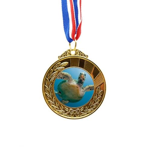 Cinta primer lugar tortuga de agua azul medalla de oro para campeones nacionales 1