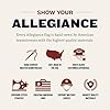 Allegiance Flag Supply American Flag 3x5 Ft | Made in USA with American-Sourced 200D Nylon, Embroidered Stars, Hand-Stitched Stripe #2