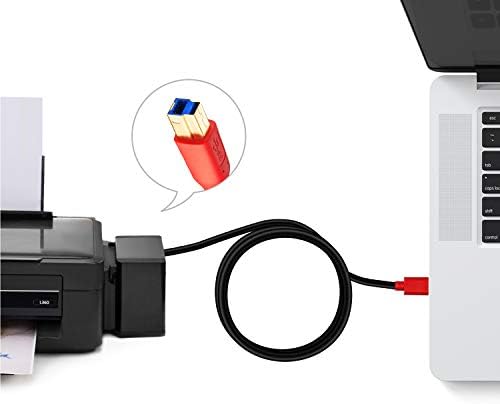 USB 3.0 Cable A Male to B Male 0.3M, TanQY Type A to B Male Compatible with Hard Disk Drive,Printers,Scanner,USB Hub,Monitor and More. (0.3M/1Ft, Red)