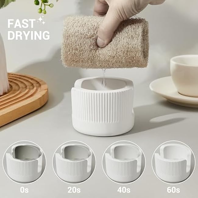 Diatomite Sponge Holder for Kitchen Sink Counter- Quick Drying, Fast Water Absorbent Stone Tray, 1 Slot Dish Sponge Rack, Kitchen Organizer, White