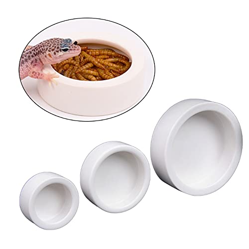 RunXF Reptiles Bowl Ceramics Dish Round Feeder Anti-Escape Breadworm Plate with Deep Edge for Lizard Gecko Tortoise (S… - Image 3