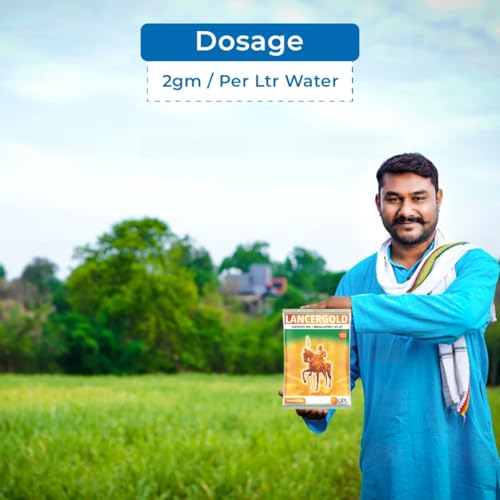 Image of NEW UPL-Lancer-Gold Insecticide - Acephate 50% + Imidacloprid 1.8% SP | Broad Spectrum Contact & Systemic Action for Cotton, Paddy & Vegetables (300)