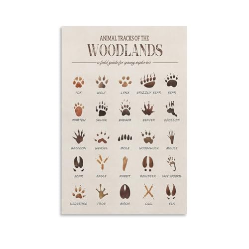 MAIHAIBAO Woodland Animal Tracks Canvas Wall Art - Educational Forest Field Guide Poster - Rustic Nature Nursery & Kids Room Decor - 12x18 Inch (Unframed)