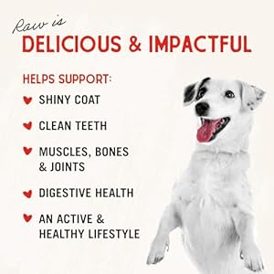 Stella & Chewy's Freeze Dried Raw Dinner Patties – Grain Free Dog Food, Protein Rich Stella’s Super Beef Recipe – 14 oz Bag Stella Chewys Freeze Dried Raw Dinner Patties–Grain Free Dog Food Protein Rich Stellas Super Beef Recipe–14 oz Bag