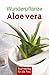 Produktbild Wunderpflanze Aloe vera (Minibibliothek)