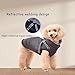 Hundemantel Winter mit Geschirr Einstellbar, ZoneYan Wasserdicht & Warm Hundemantel für Kleine Hunde, Reflektierende Winterjacke, Winddicht Weste für Hund (Schwarz, XS)