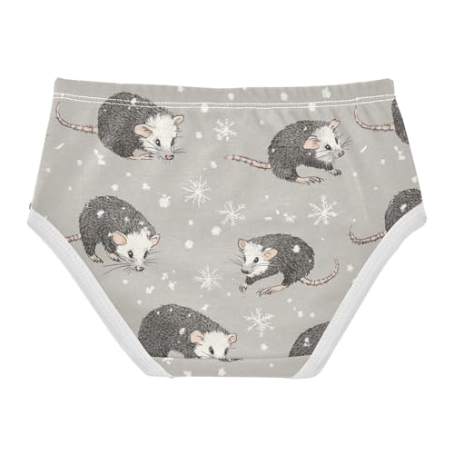 Wusikd Opossum Girls' Underwear Cotton Snowflake Girls Briefs Soft Toddler Underwear 2T2