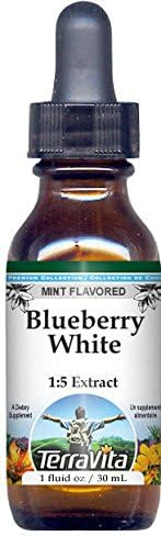 Terravita Extracto líquido de glicerita blanca de arándanos (1:5), sabor a menta (1 oz, ZIN: 522176) - Paquete de 2