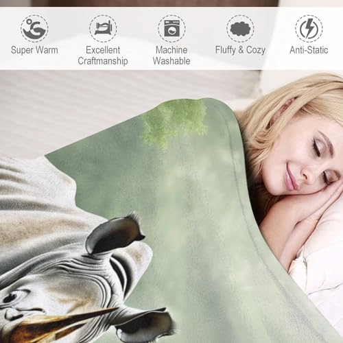 Manta de microfibra extrasuave de tacto mullido para dormitorio 5