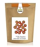 Garden Pocket - Kit di Coltivazione POMODORO DI CIELEGIA - Borsa Maceta