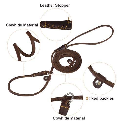 2-in-1 Hundeleine, 1,5m/5ft Leder Retrieverleine mit Zugstopp, Einstellbar Retriever Leinen mit Halsband für Hunde mit Gewicht von etwa bis 10 kg geeignet