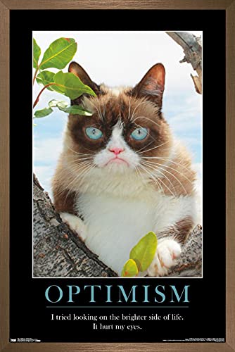 Trends International Grumpy Cat - The Brighter Side Wall Poster, 14.725" x 22.375", Bronze Framed Version