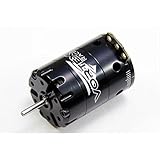 Team Orion Motore Vortex 2008 Stock 9.5