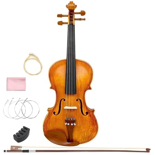 Vioolinstrumenten Viool Van Normaal Formaat Geschikt Voor Beginners Met Accessoires Professioneel Instrument(Violin set)