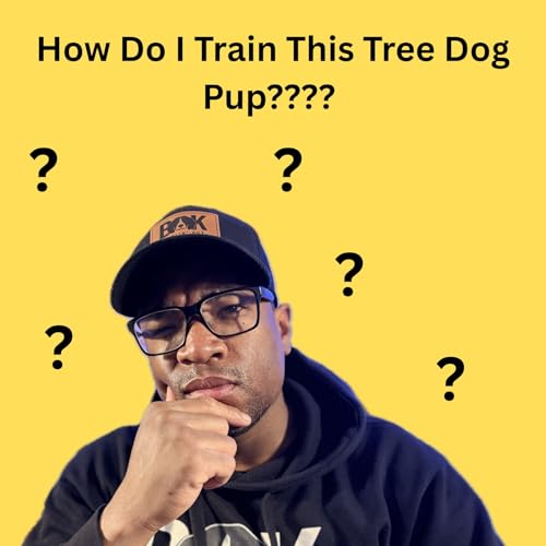 Starting a Young Tree Dog, 8 Training Frame Works for Success