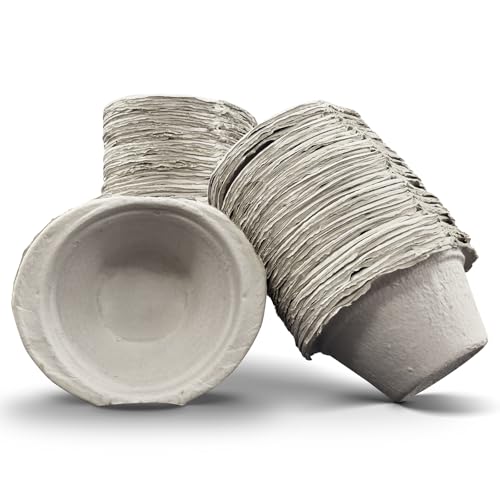 Image of DryFox Pulp Disposable General Purpose Bowl 1000ml / 1L | 100 Pack (Boxed) Ideal for Vomit, Sick, Urine, Fluid Waste, Bedside Patient Support, Healthcare, Care Home