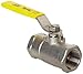 Apollo 96-100 Series Stainless Steel Ball Valve, Unibody, Inline, Lever, 1/2" NPT Female